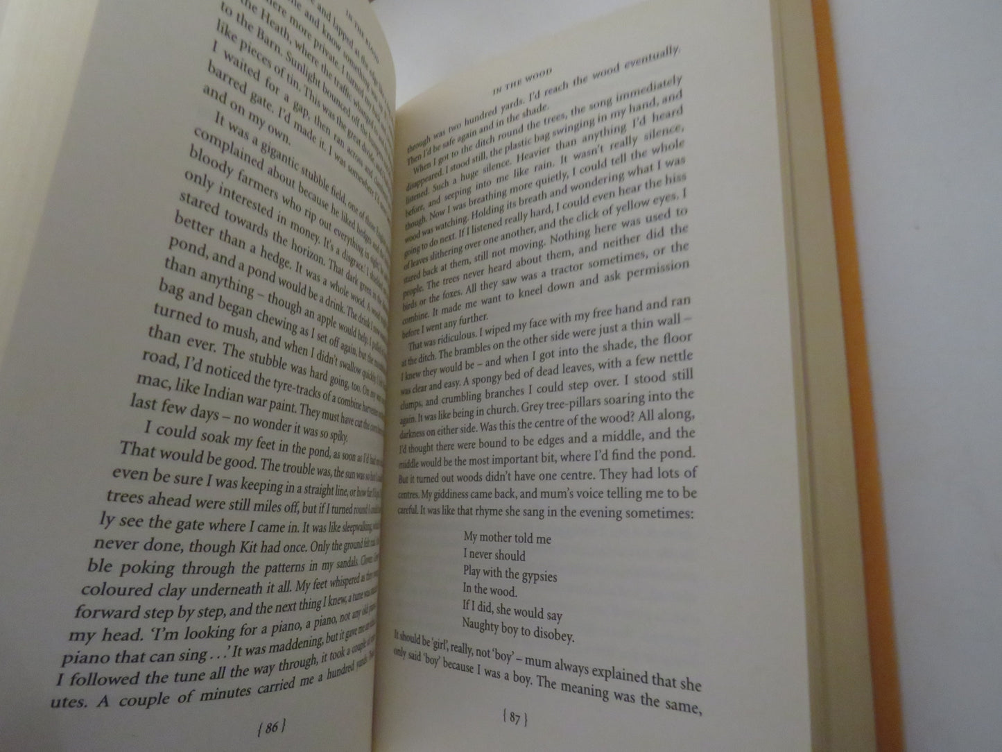 In The Blood A Memoir of My Childhood By Andrew Motion 2006