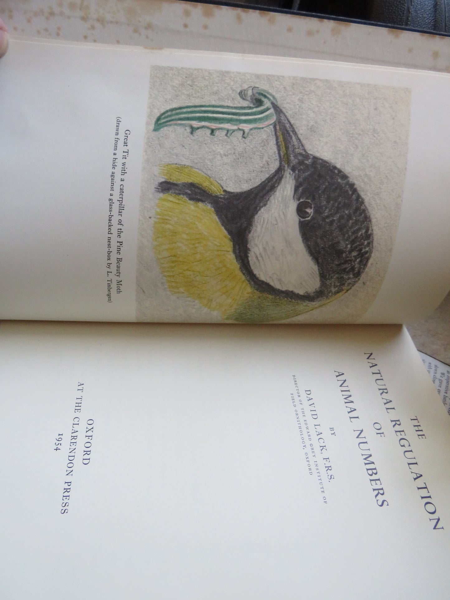 The Natural Regulation of Animal Numbers By David Lack F.R.S 1954