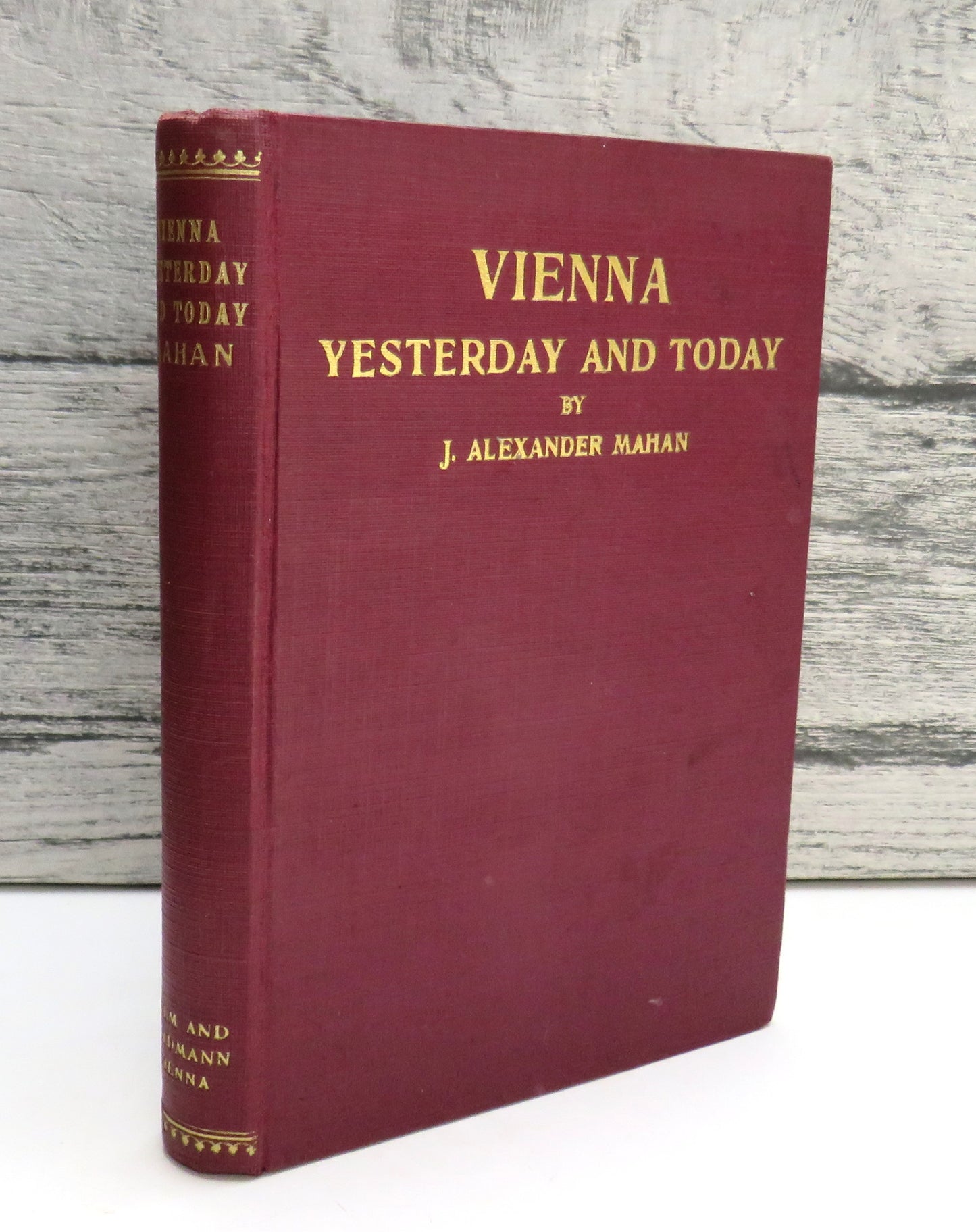 Vienna, Yesterday and Today by J. Alexander Mahan, 1929