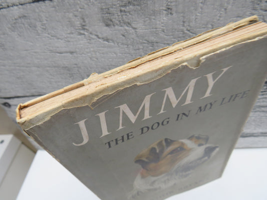 Jimmy The Dog In My Life By Arthur Bryant Illustrated By David Rook 1960