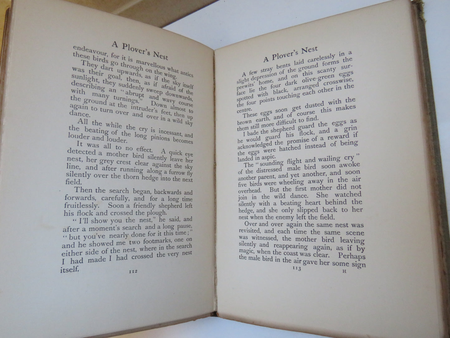 Outside the Garden by Helen Milman, with Illustrations by Edmund H. New, 1900
