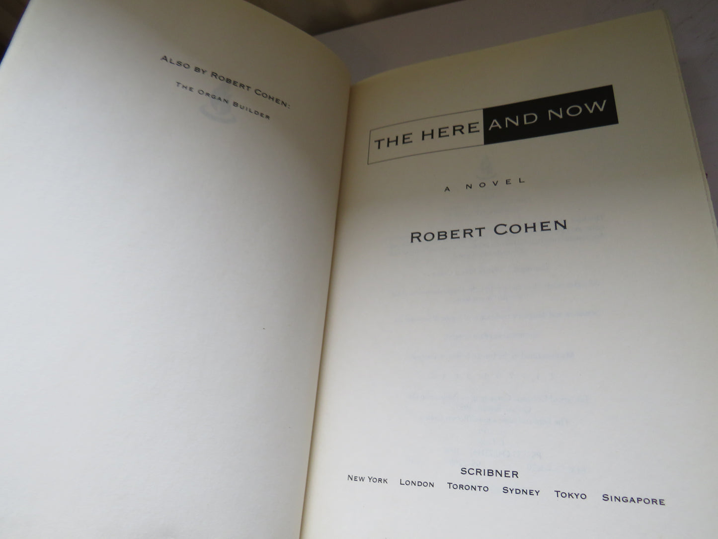 The Here and Now A Novel By Robert Cohen 1996