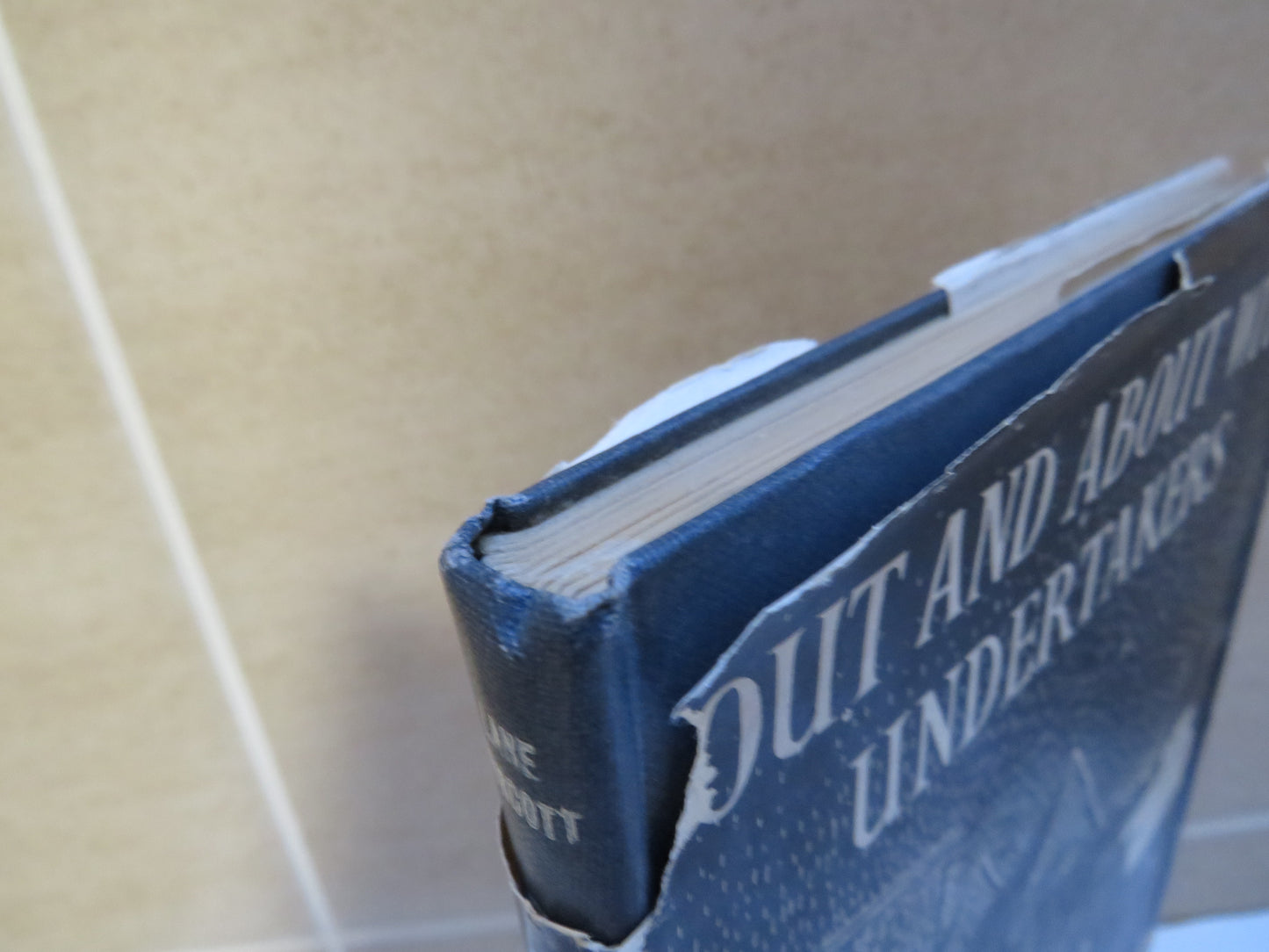 Out and About with Undertakers, or Knee Deep in Bureaucrats by Maurice Lane Norcott