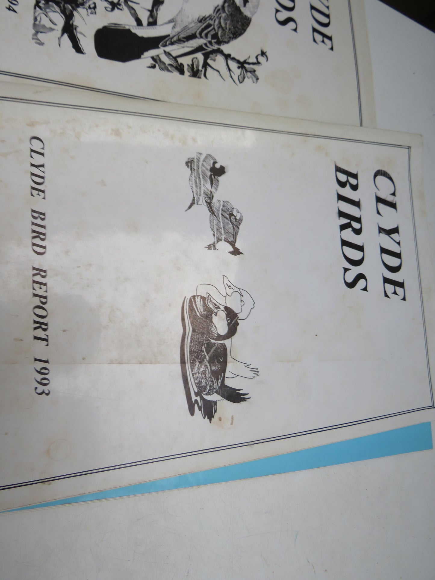Clyde Birds Report .1988, 1991, 1993 & 1994