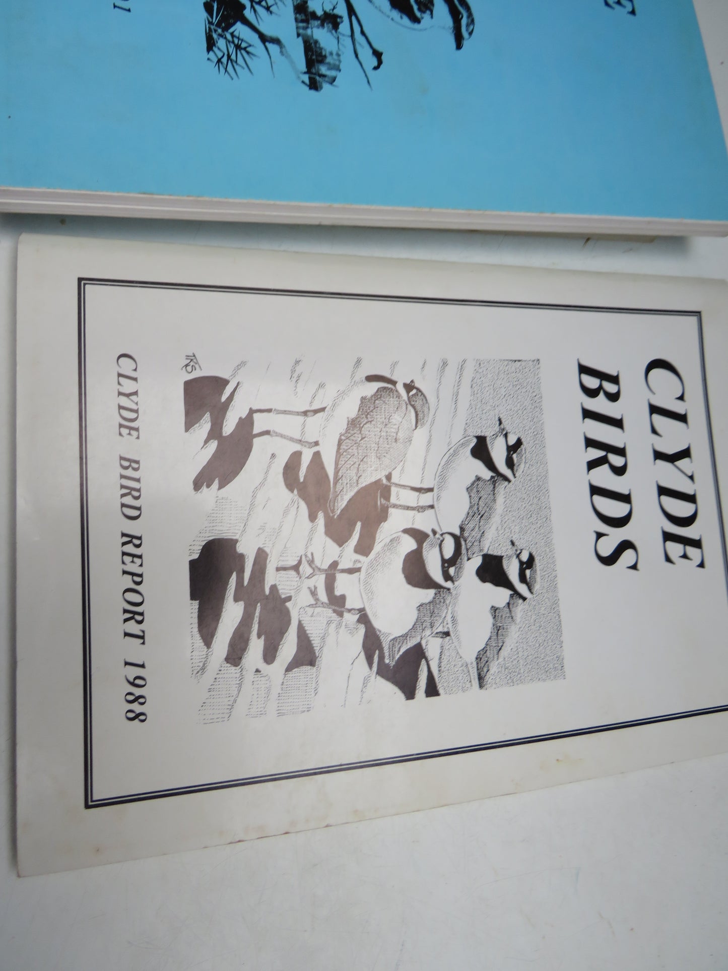 Clyde Birds Report .1988, 1991, 1993 & 1994