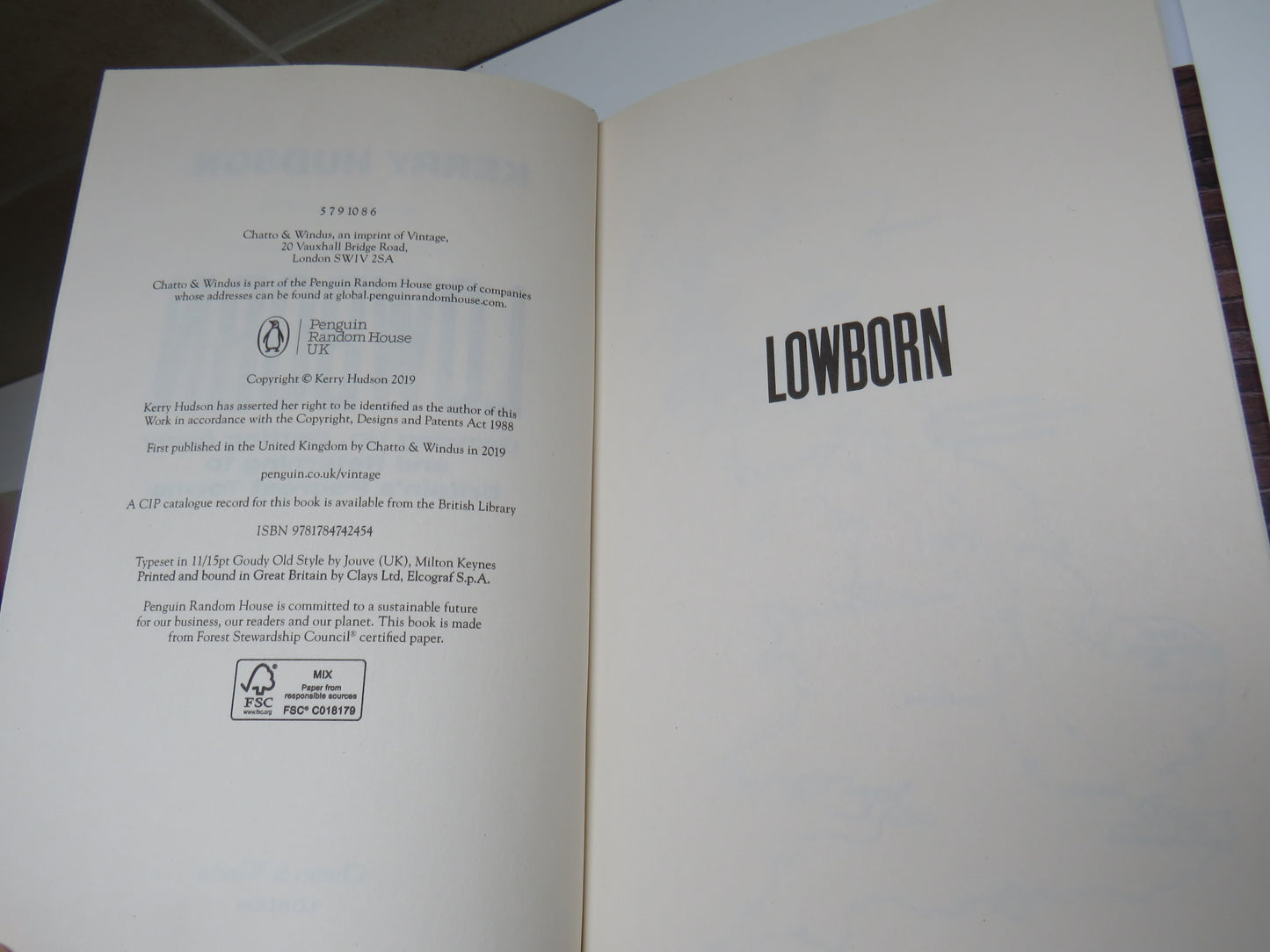 Lowborn Growing Up, Getting Away and Returning To Britain's Poorest Towns By Kerry Hudson 2019