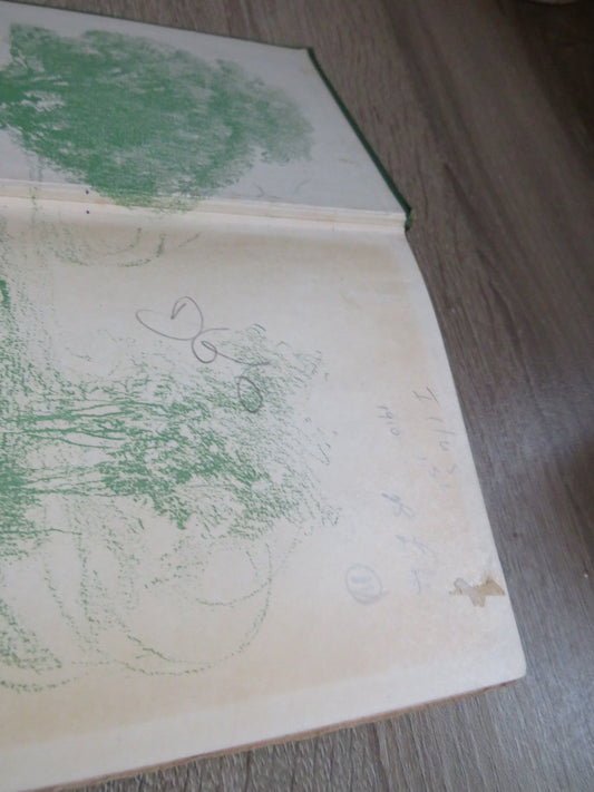 Adventures In Friendship By David Grayson 1910