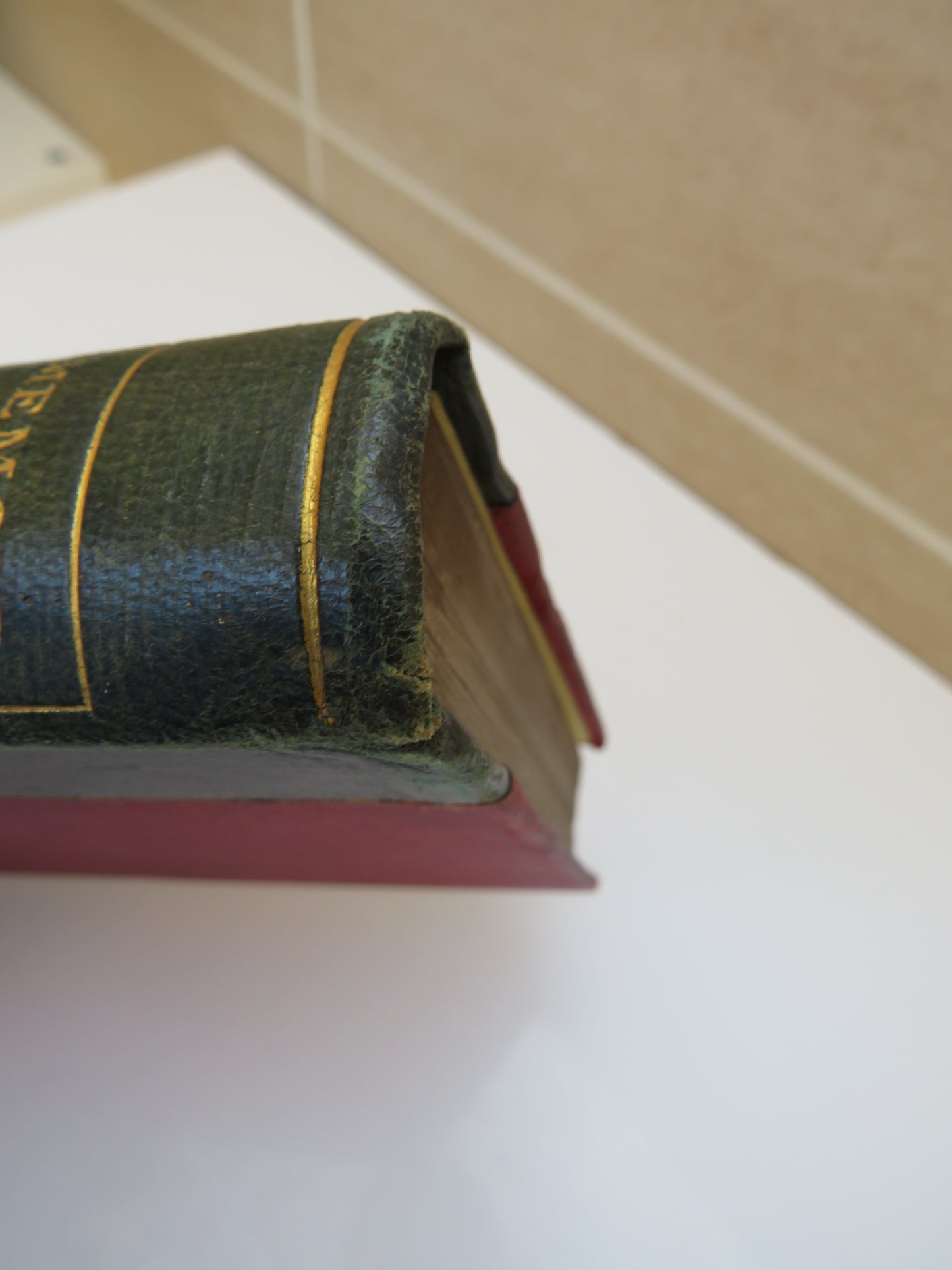 Memoir of Robert Chambers with Autobiographic Reminiscences of William Chambers, 1878