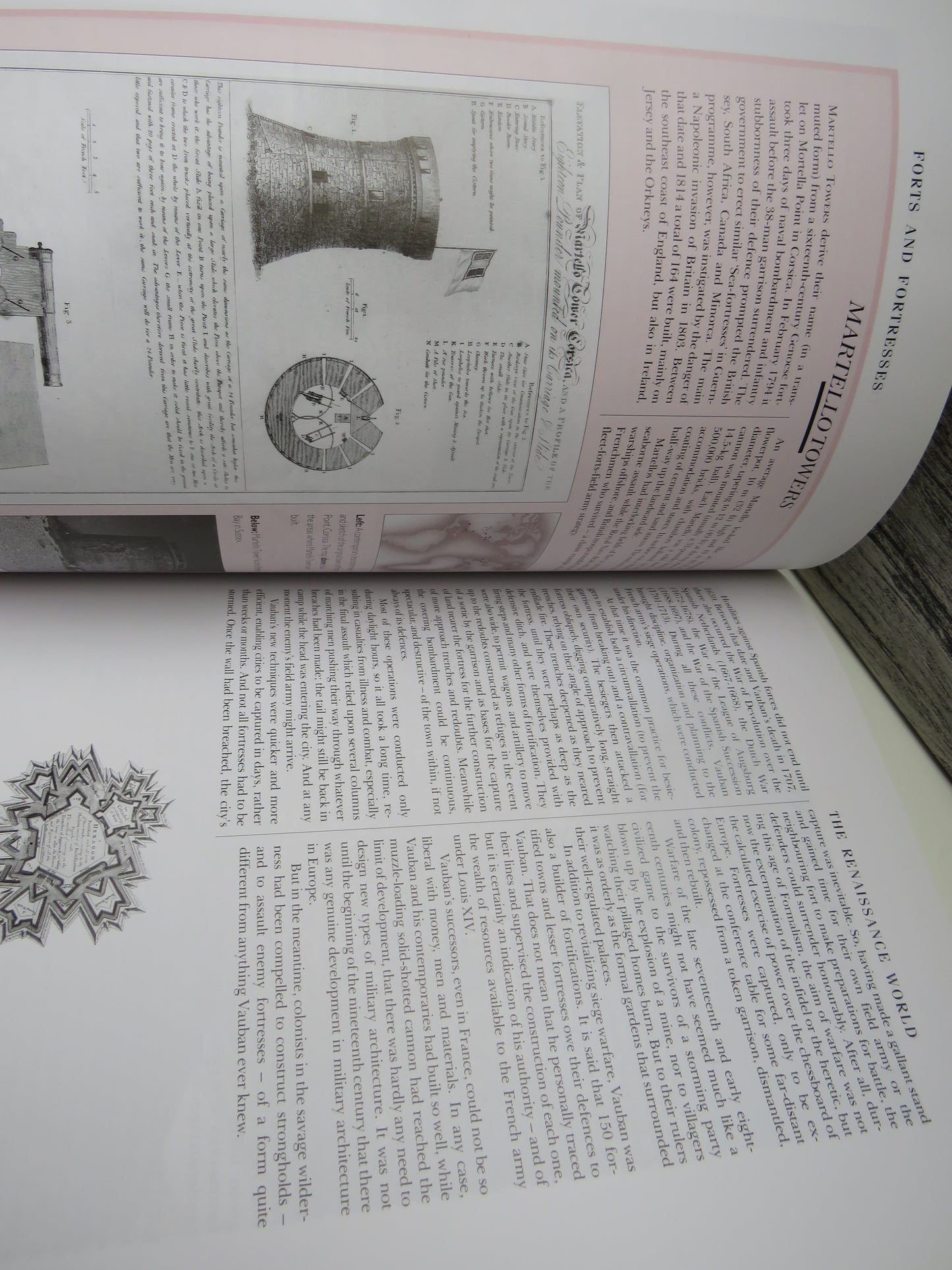 A Chronicle History of Forts and Fortresses By Martin Brice 2005