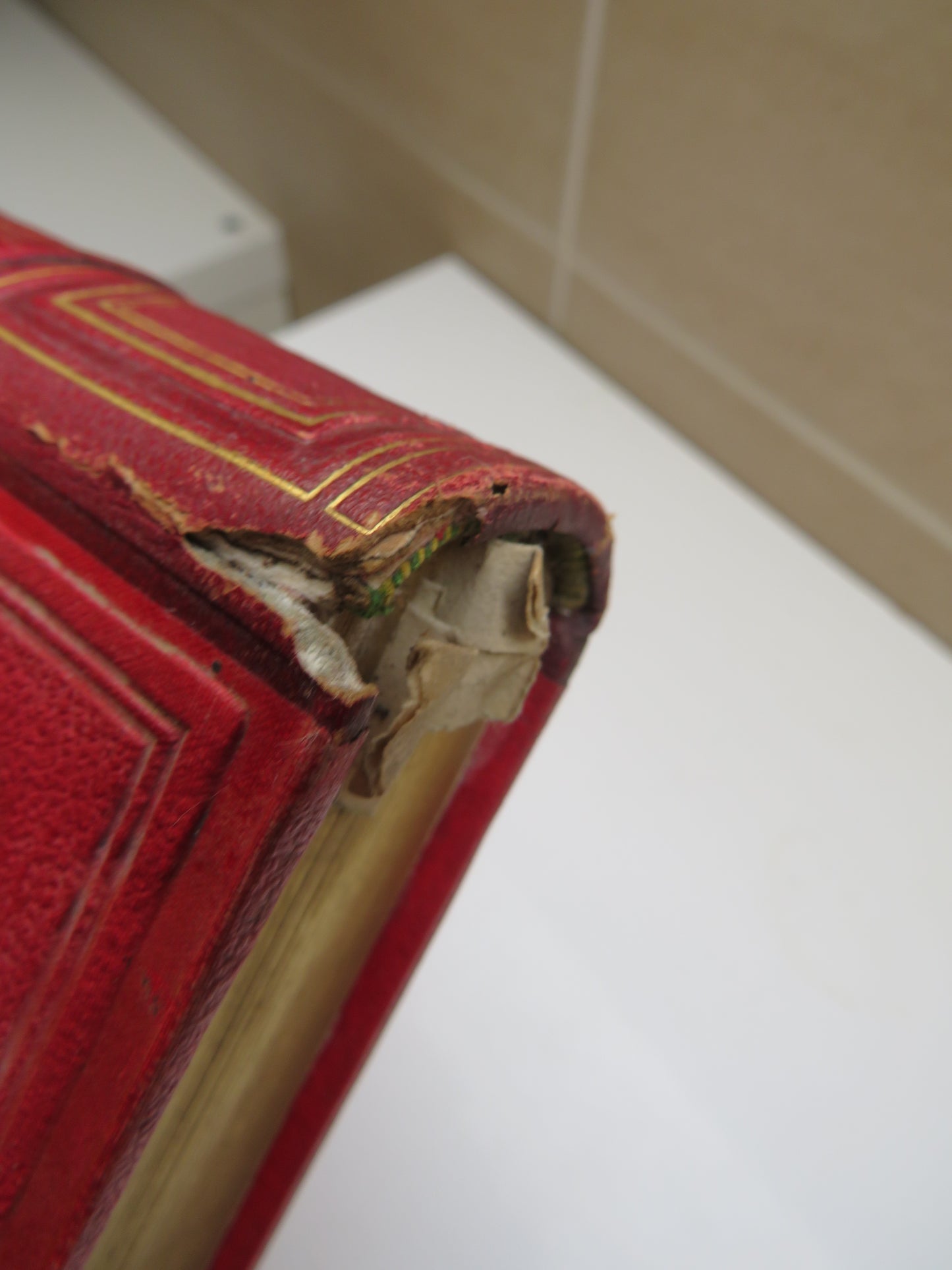 La Terre Avant Le Deluge Par Louis Figuier, 1874