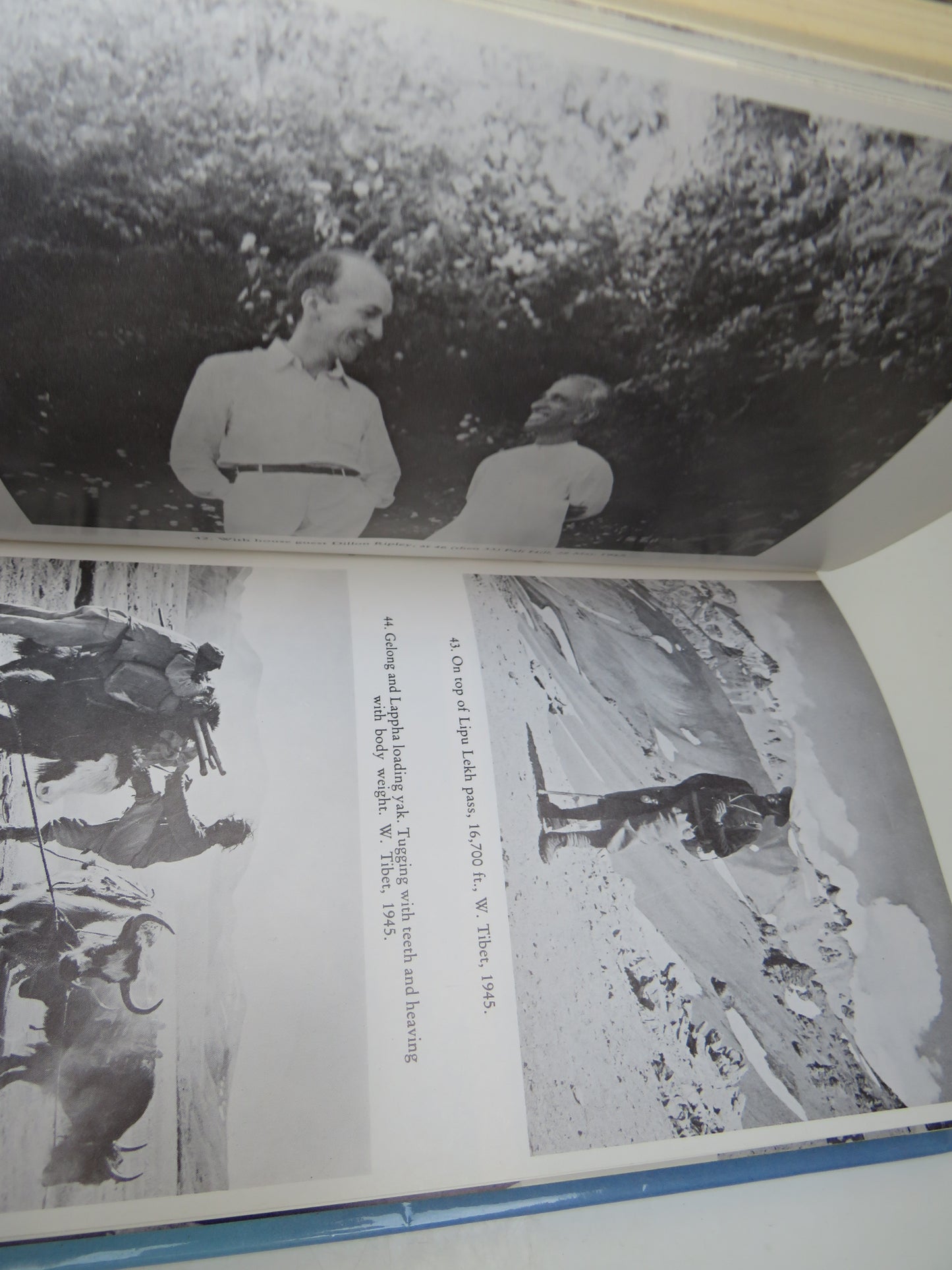 The Fall of a Sparrow By Salim Ali 1985