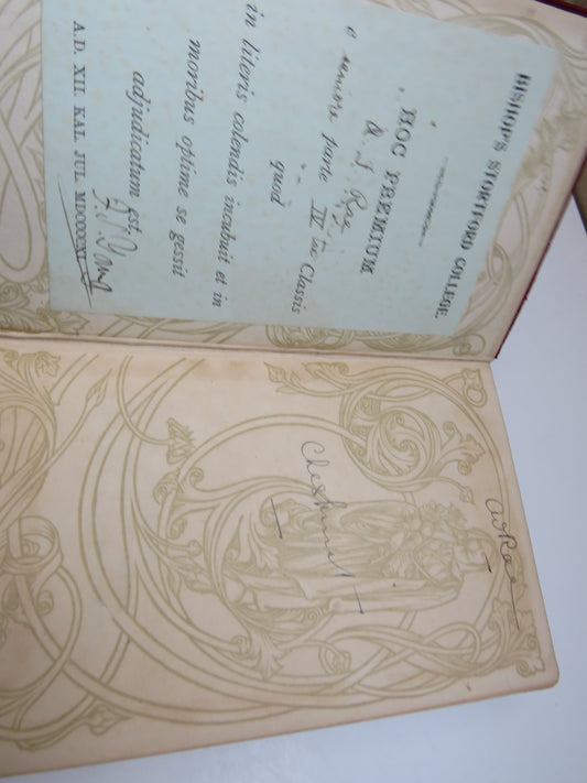 The Naturalist On The River Amazons By Henry Walter Bates