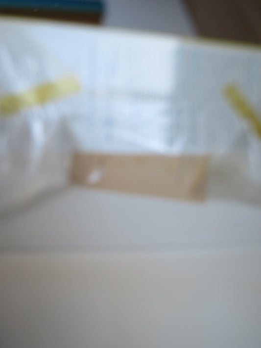 Collins Guide To Bulbs By Patrick M. Synge V.M.H 1971