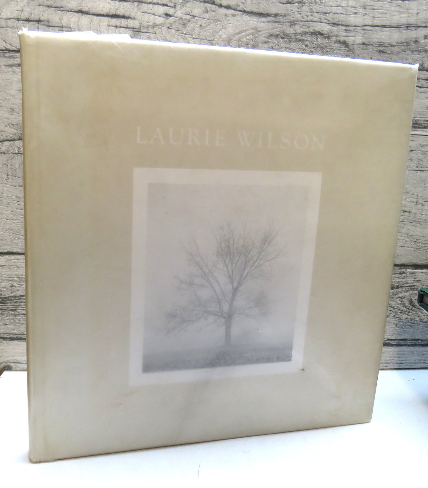 Laurie Wilson by Jennie Boddington 1982