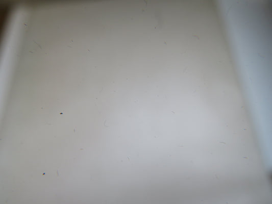 Laurie Wilson by Jennie Boddington 1982 (Vintage Art Biography) book 2