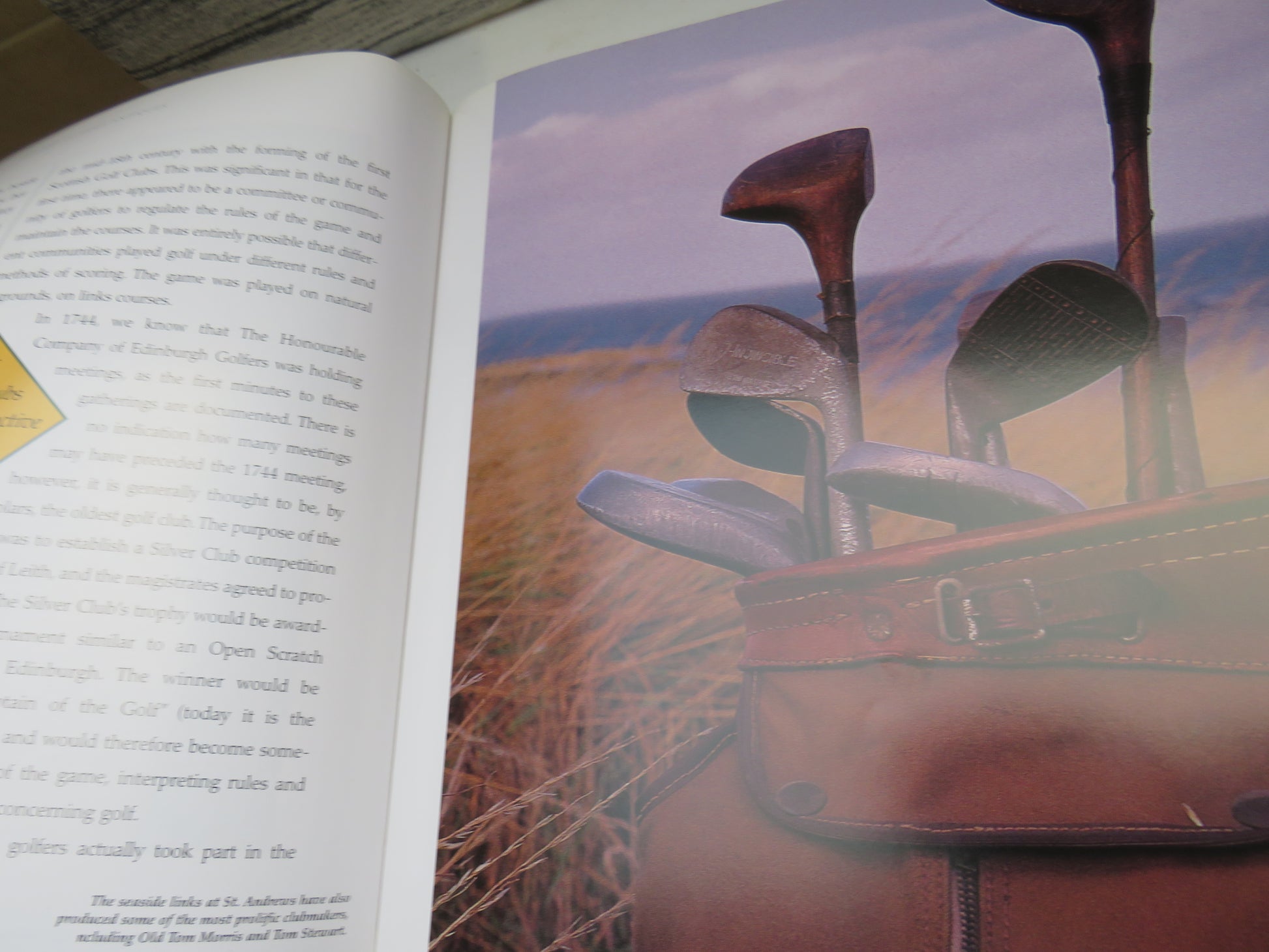 The Art of Golf Antiques, An Illustrated History of Clubs, Balls, and Accessories by Gil King, in cooperation with the USGA museum (Modern Sports History Book) book 5