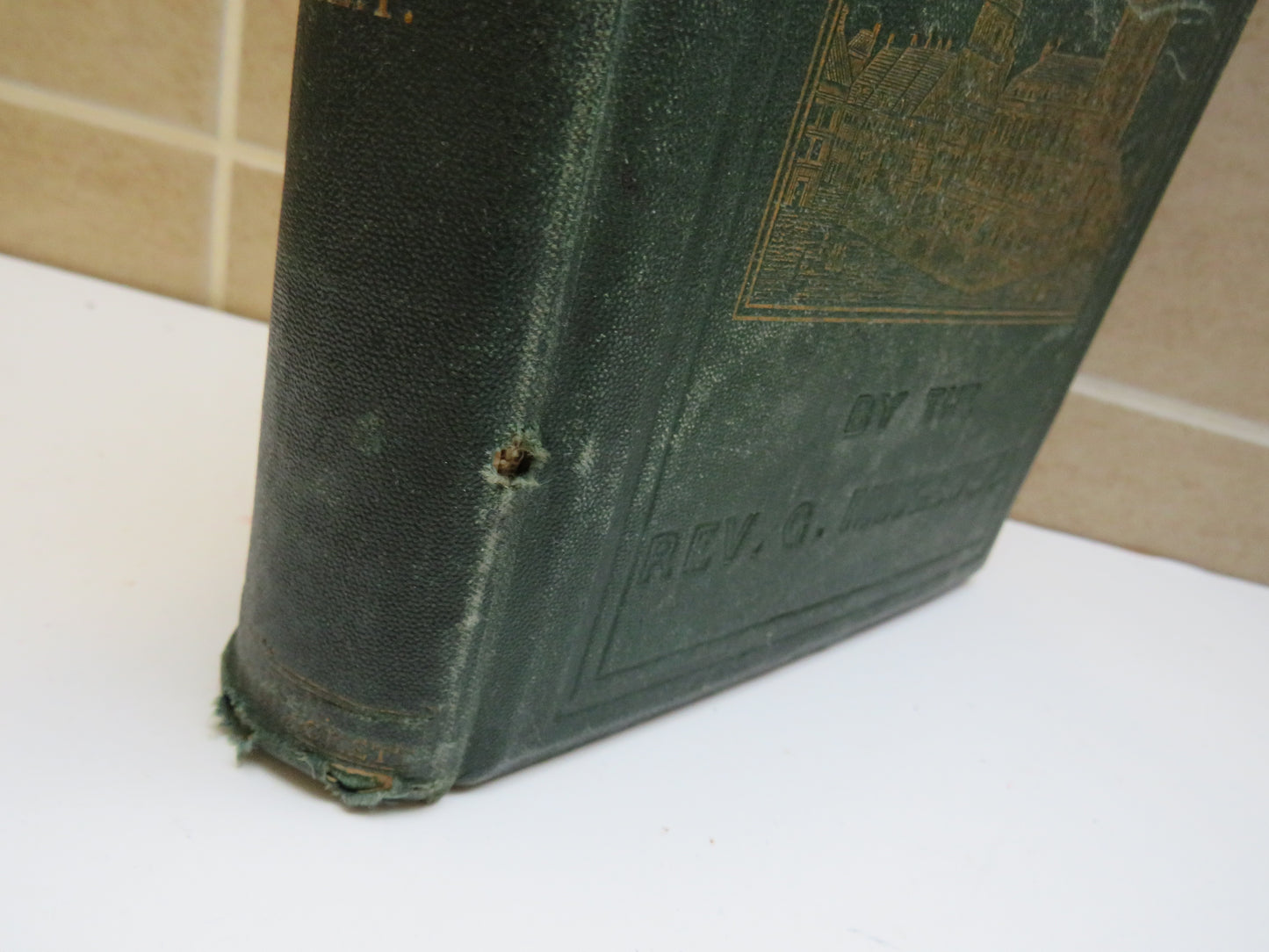 Nooks and Corners of Old France by The Rev George Musgrave, Vol. I, 1867