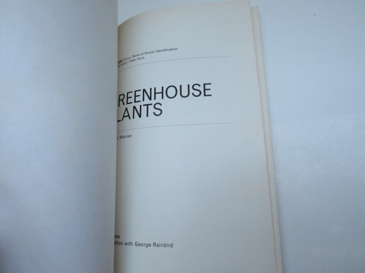 Greenhouse Plants by John Warren, 1965