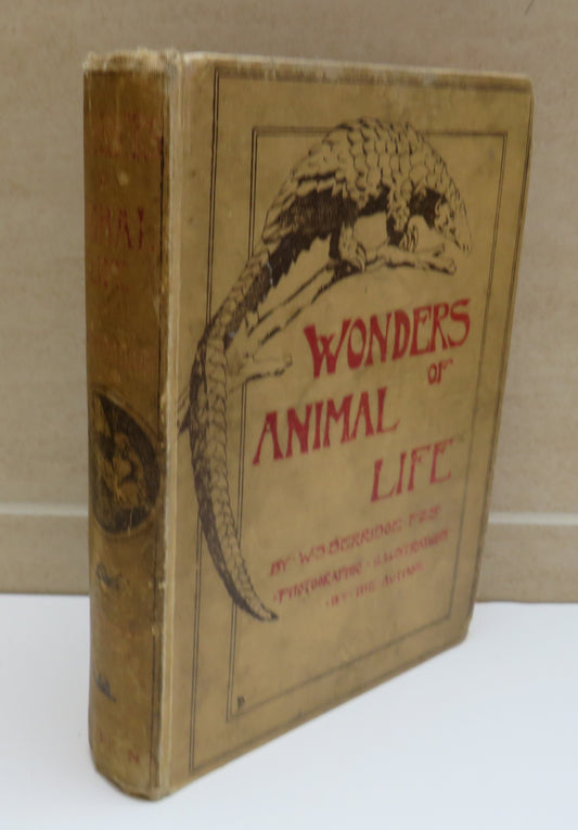 Wonders of Animal Life by W. S. Berridge, 1919
