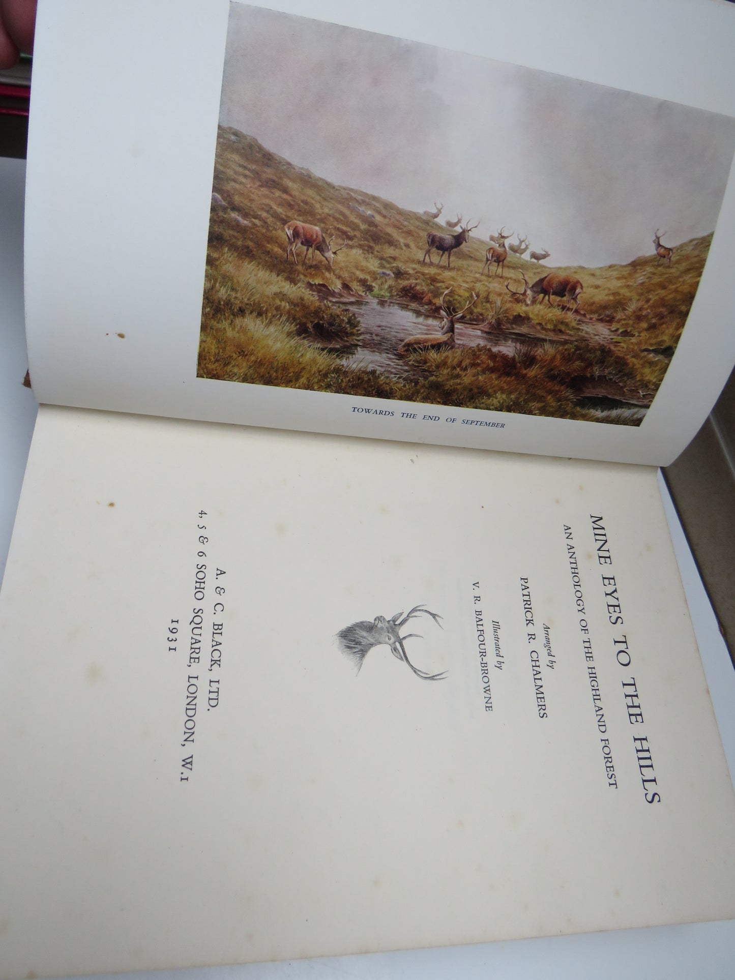 Mine Eyes To The Hills An Anthology Of The Highland Forest Arranged By Patrick R Chalmers 1931