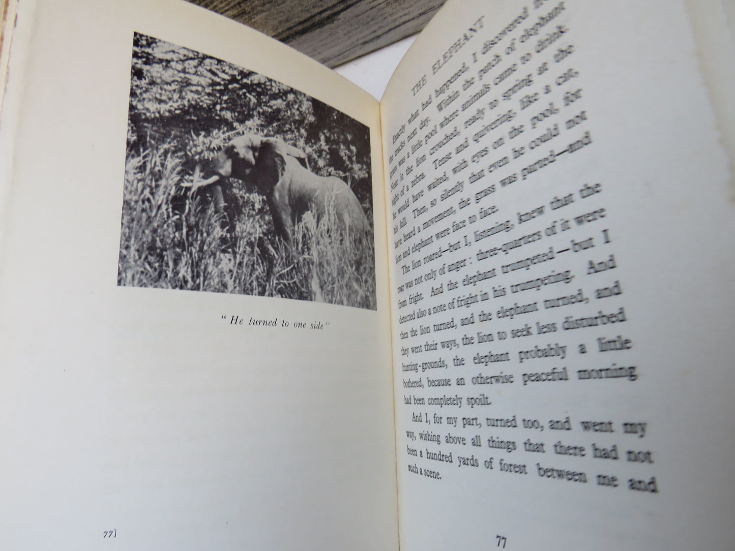 In The Land of The Lion By Cherry Kearton 1929 1st Edition