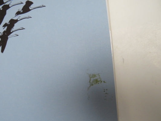 The Swans By Peter Scott and The Wildfowl Trust 1972