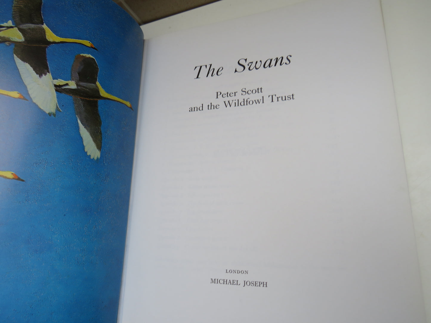 The Swans By Peter Scott and The Wildfowl Trust 1972