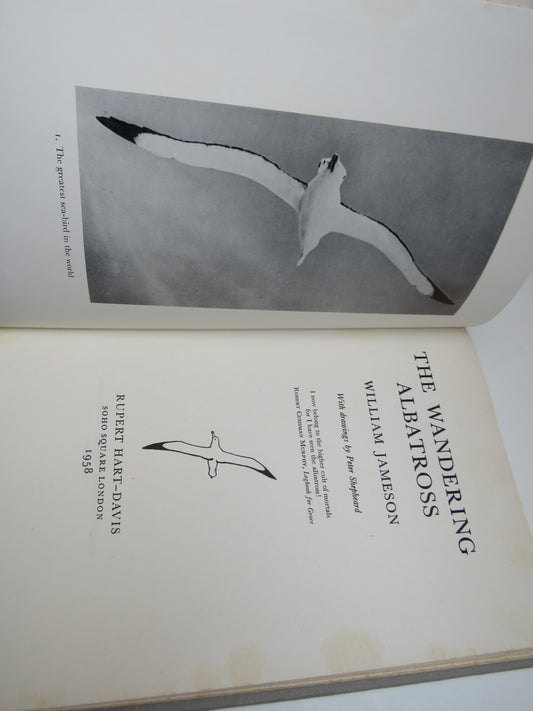 The Wandering Albatross By William Jameson 1958