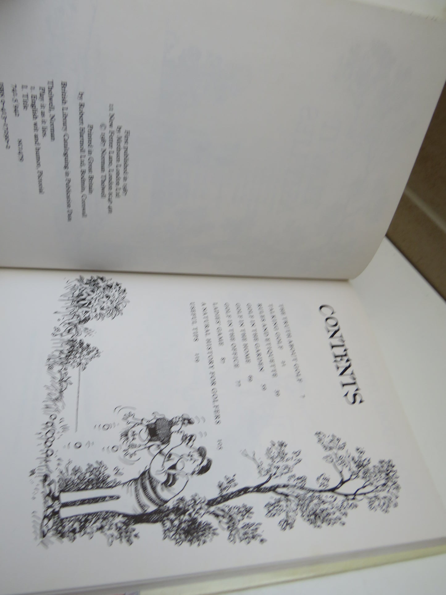 Play It As It Lies By Norman Thelwell 1987