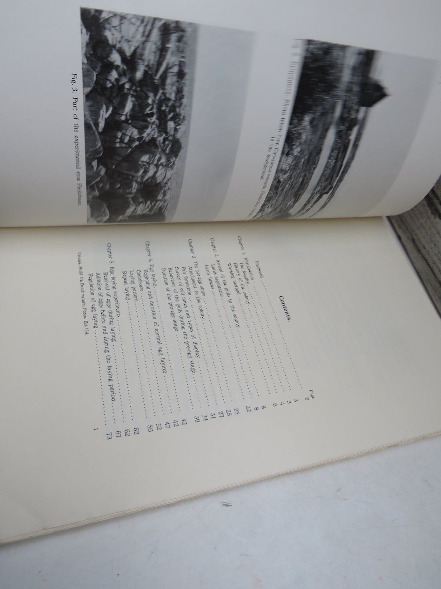 Contributions To The Breeding Biology of Larus Argentatus and Larus Fuscus 1951