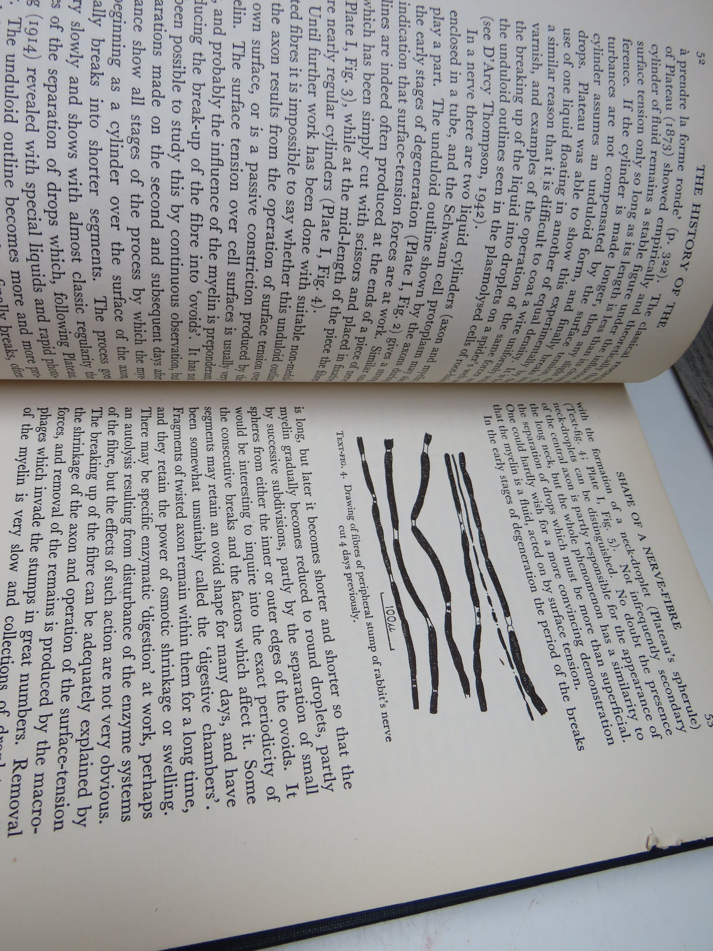 Essays on Growth and Form presented to D'arcy Wentworth Thompson, 1947, Vintage Book