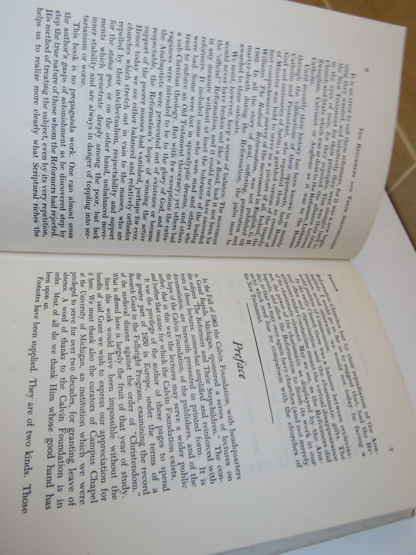 The Reformers and Their Stepchildren By Leonard Verduin 1964