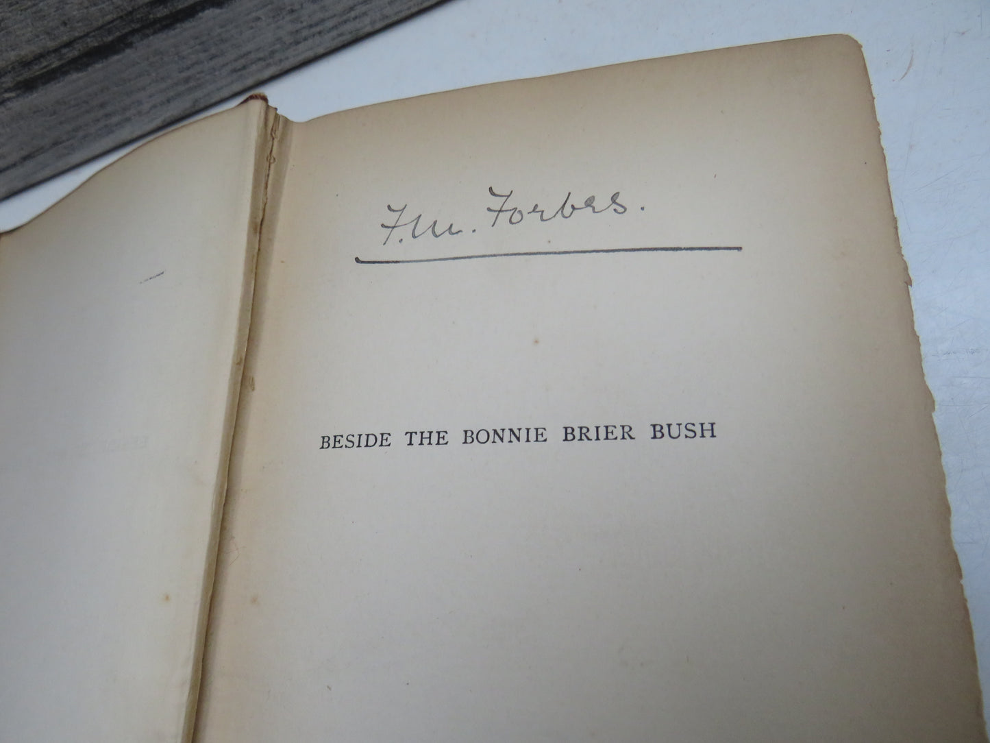 Beside The Bonnie Brier Bush By Ian Maclaren 1895