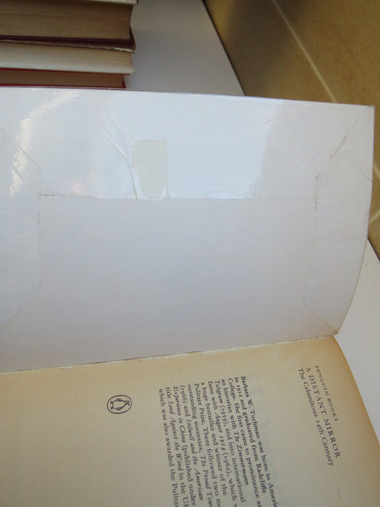 A Distant Mirror The Calamitous 14th Century By Barbara W. Tuchman 1980