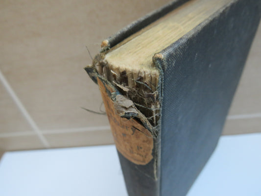 A Large Diary By W. N. P. Barbellion With A Preface By Arthur J. Cummings 1920