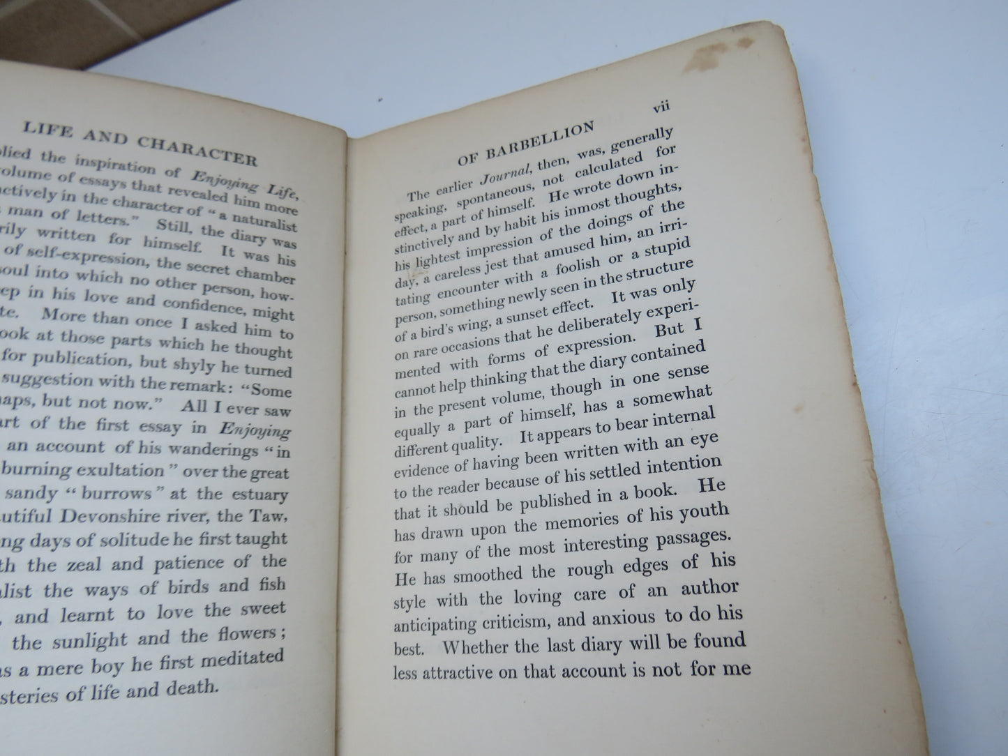 A Large Diary By W. N. P. Barbellion With A Preface By Arthur J. Cummings 1920