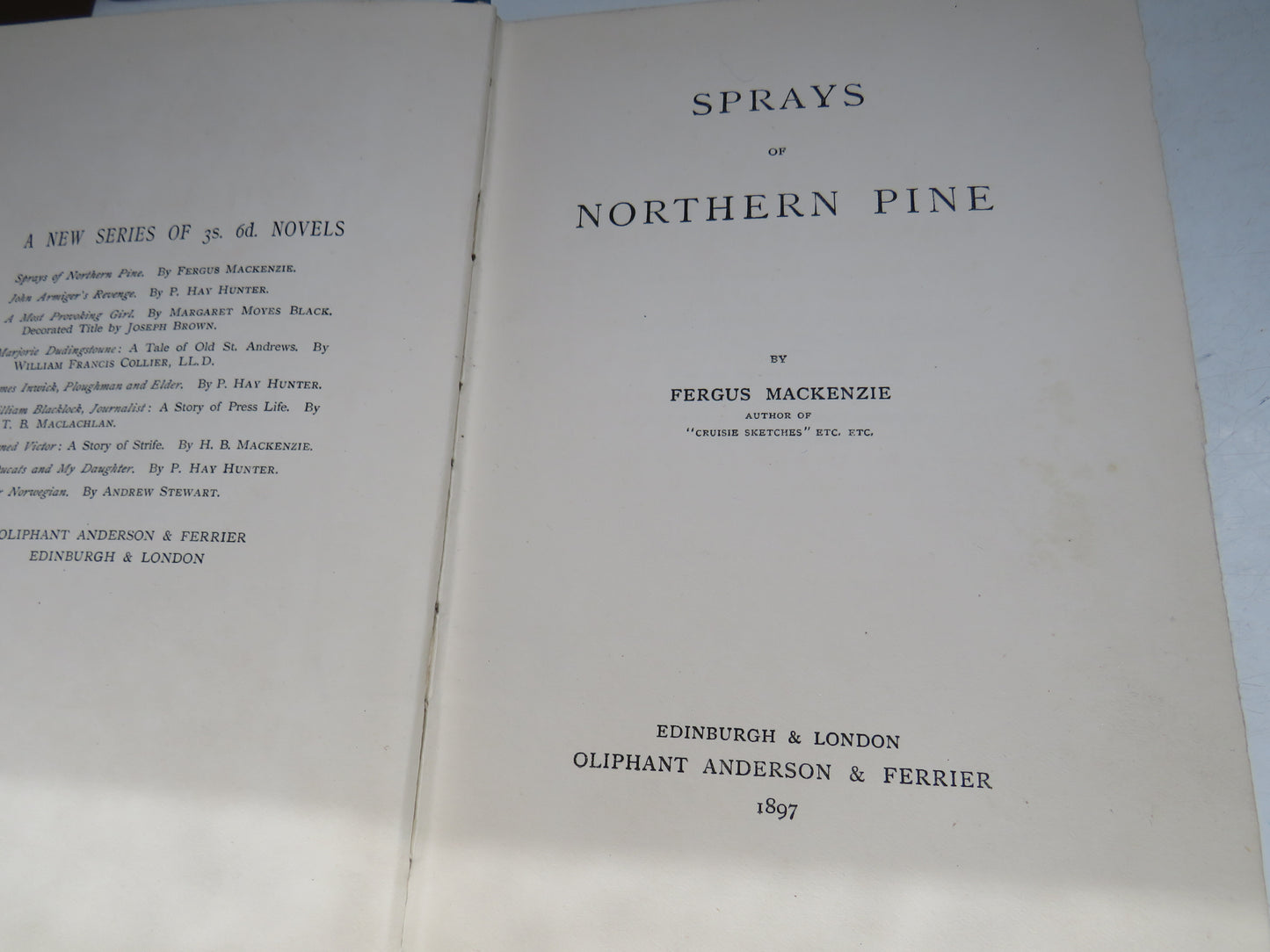 Sprays of Northern Pine By Fergus Mackenzie 1897