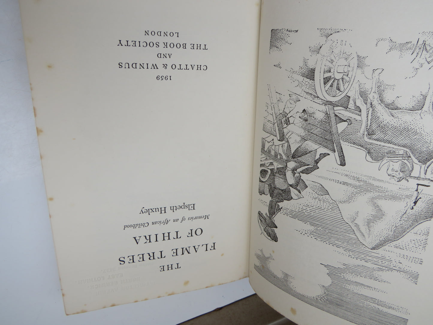 The Flame Trees Of Thika Memories of an African Childhood By Elspeth Huxley 1959
