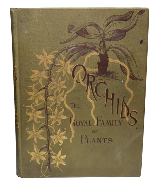Orchids, The Royal Family of Plants with Illustrations from Nature by Harriet Stewart Miner, 1885