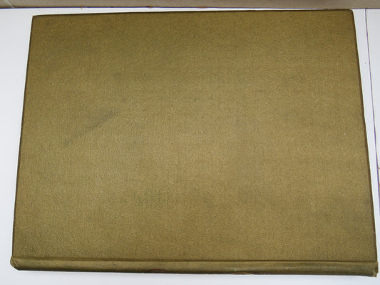 Orchids, The Royal Family of Plants with Illustrations from Nature by Harriet Stewart Miner, 1885