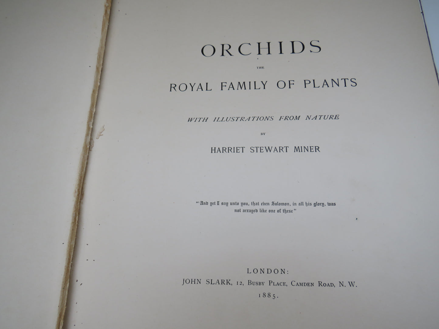 Orchids, The Royal Family of Plants with Illustrations from Nature by Harriet Stewart Miner, 1885