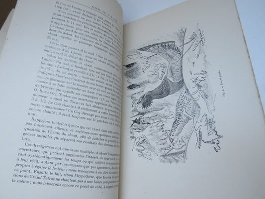 Notes Sur Le Grand Tetras Par Robert Hainard Et Oliver Meylan 1935