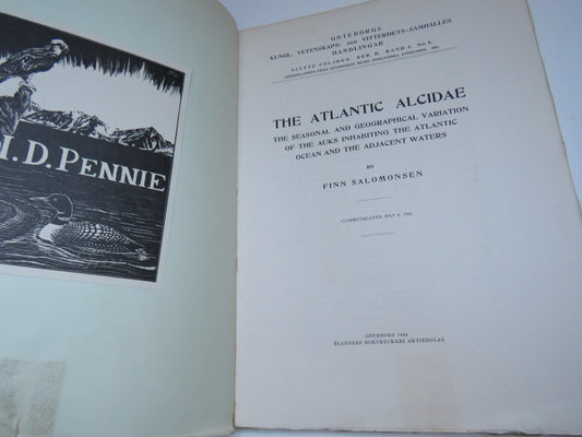 The Atlantic Alcidae The Seasonal and Geographical Variation of the Auks Inhabiting The Atlantic Ocean and The Adjacent Waters By Finn Salomonsen 1944
