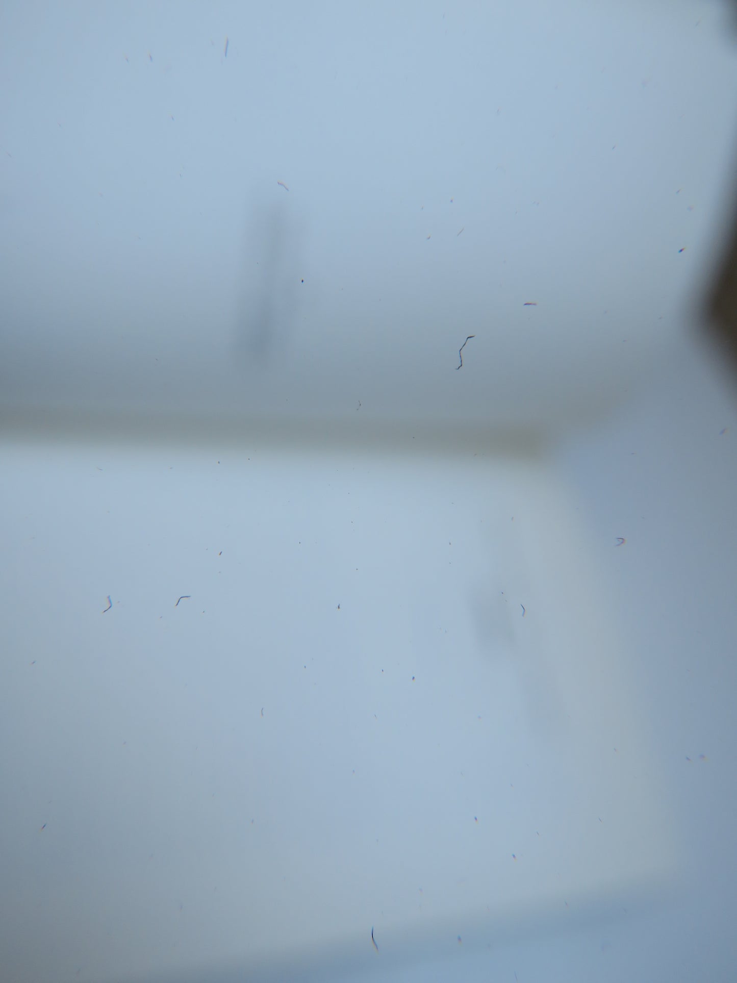 They Knew Mr. Knight By Dorothy Whipple 2000