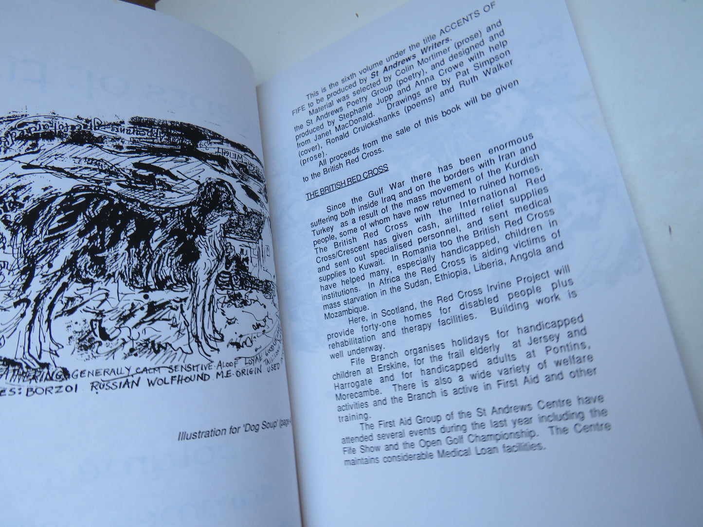 Accents of Fife Stories and Poems of the East Neuk by St Andrews Writers Volume 6 1991