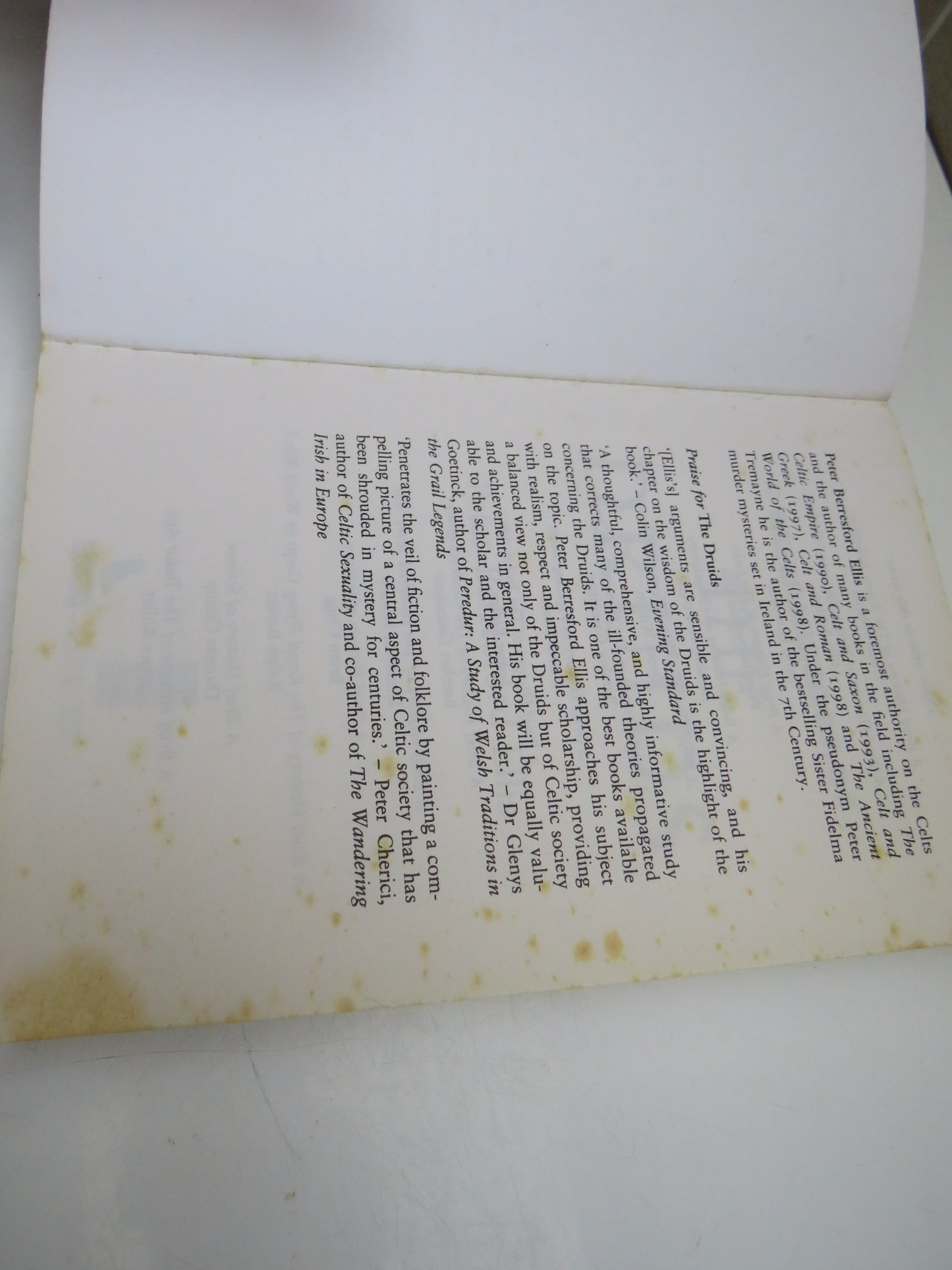 A Brief History of The Druids by Peter Berresford Ellis, 2002