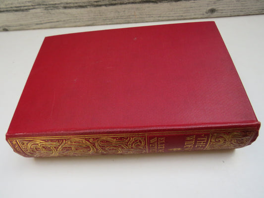 The Wide, Wide World By Elizabeth Wetherell book image 2