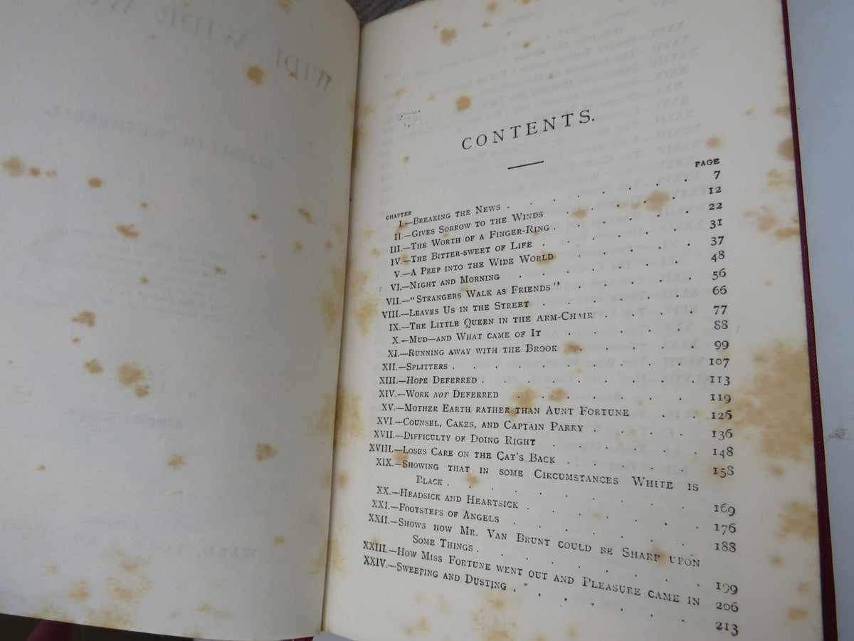 The Wide, Wide World By Elizabeth Wetherell