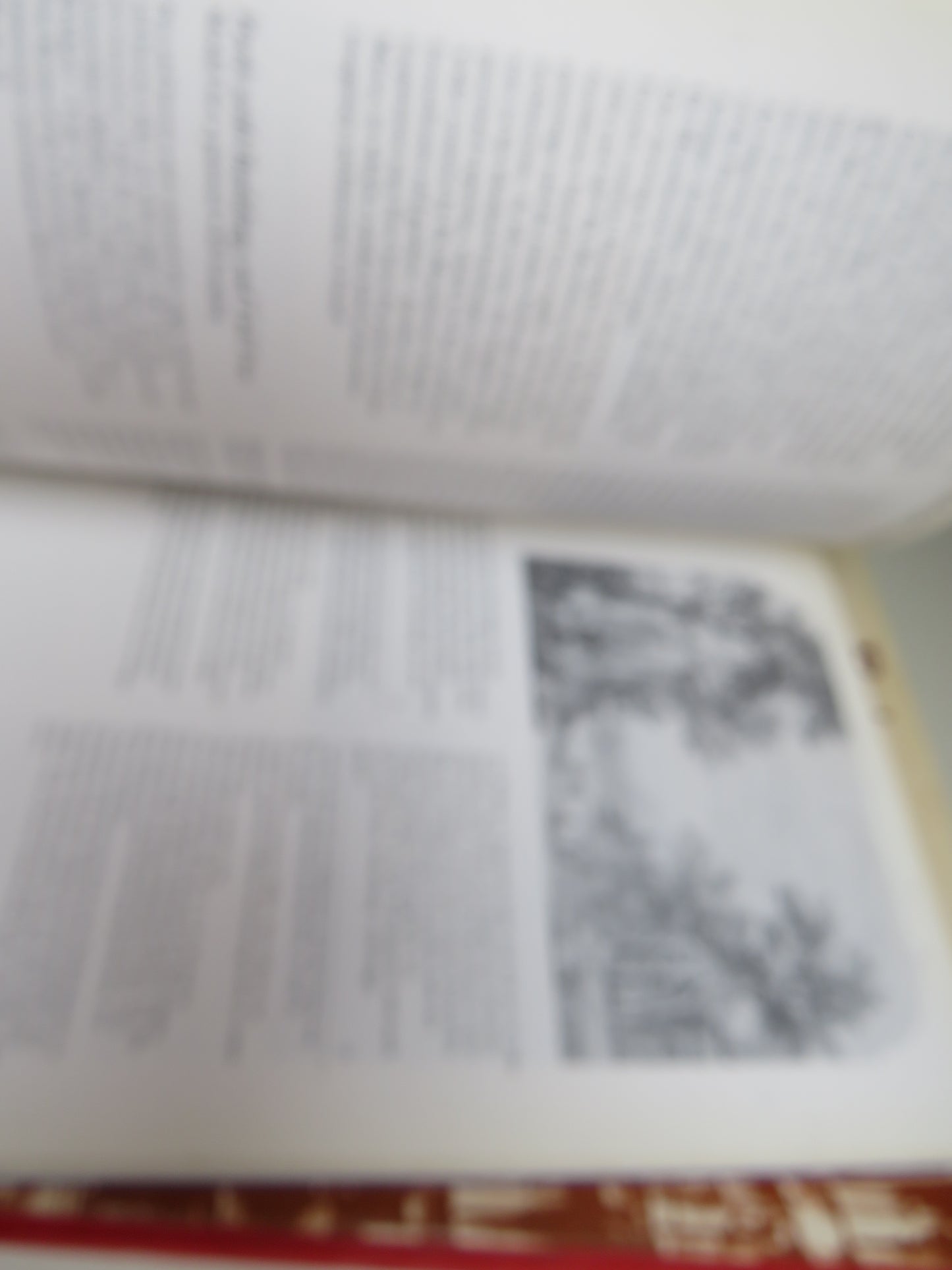 Old Master Drawings from the Print Room of the University Leiden