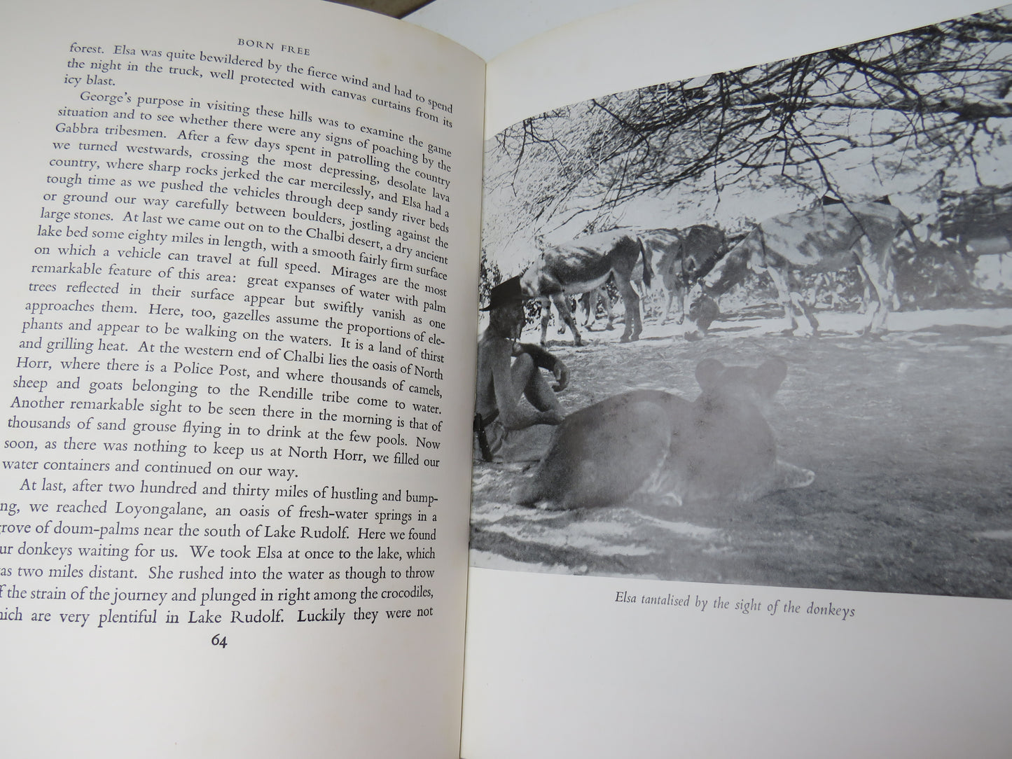 Born Free, A Lioness of Two Worlds by Joy Adamson, 1960